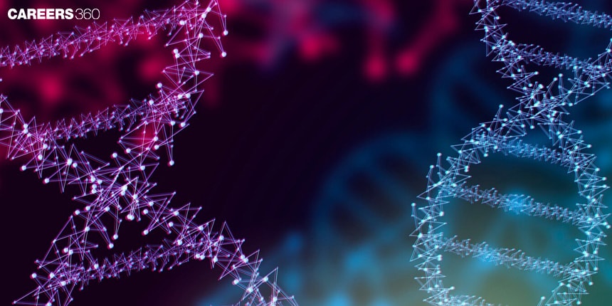 Chromosomal Theory of Inheritance: Observations and Inheritance