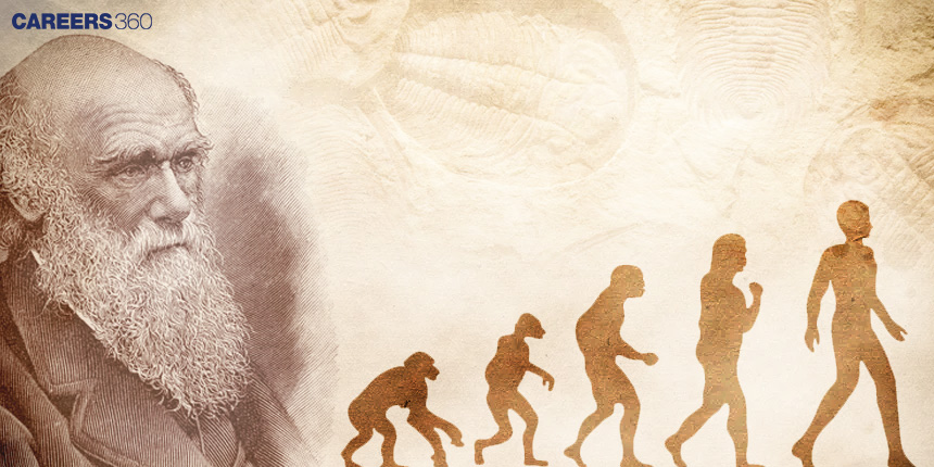 Darwin's Contribution: The Theory of Evolution