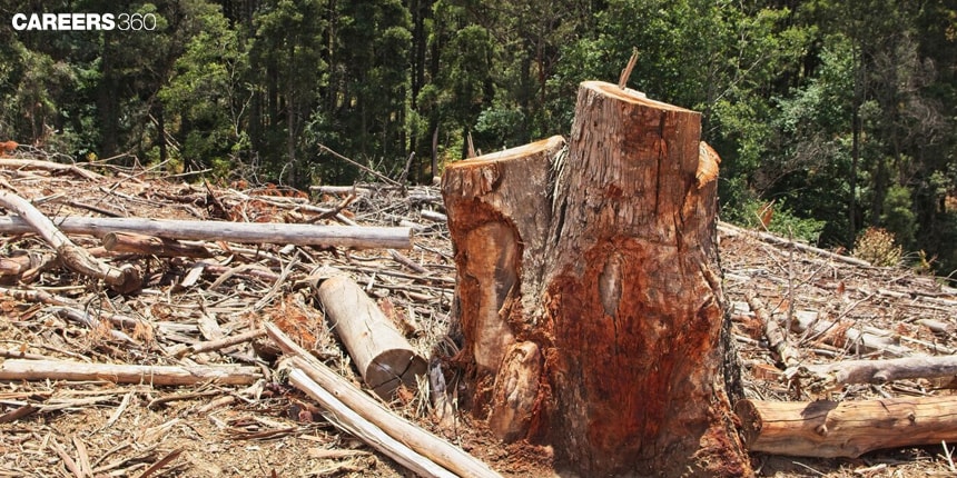 Deforestation: Definition, History, Consequences, Causes, Effects, Topic