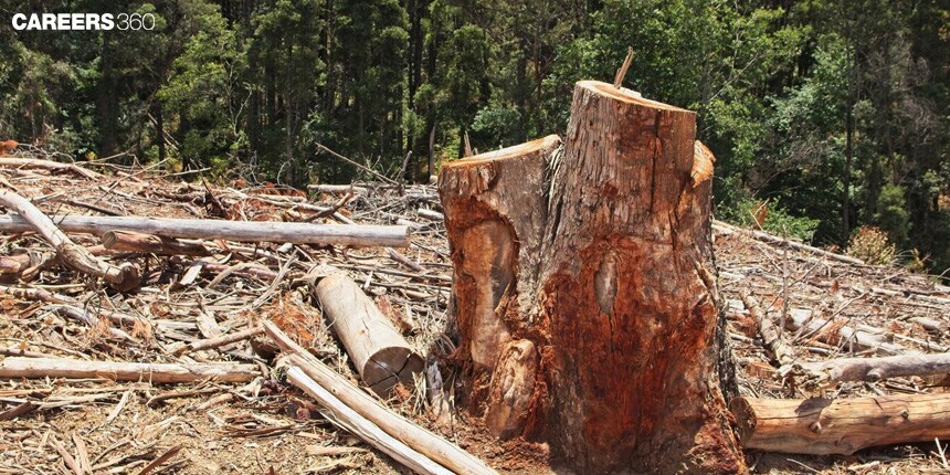 Deforestation: Definition, History, Consequences, Causes, Effects, Topic