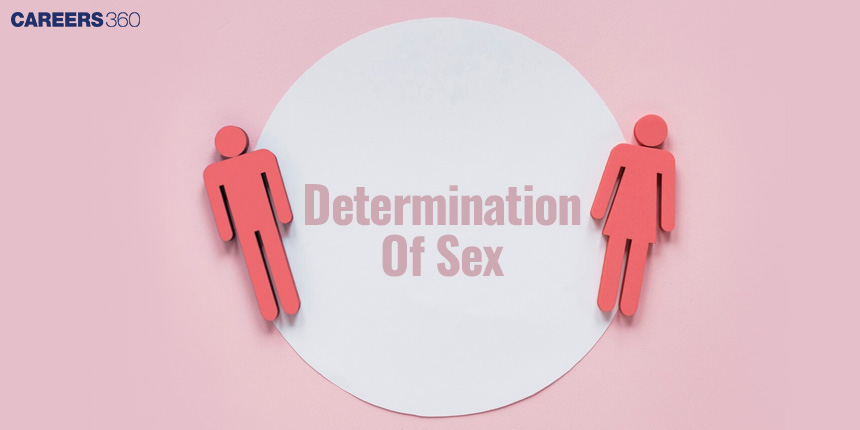 Determination Of Sex - Overview & Mechanism