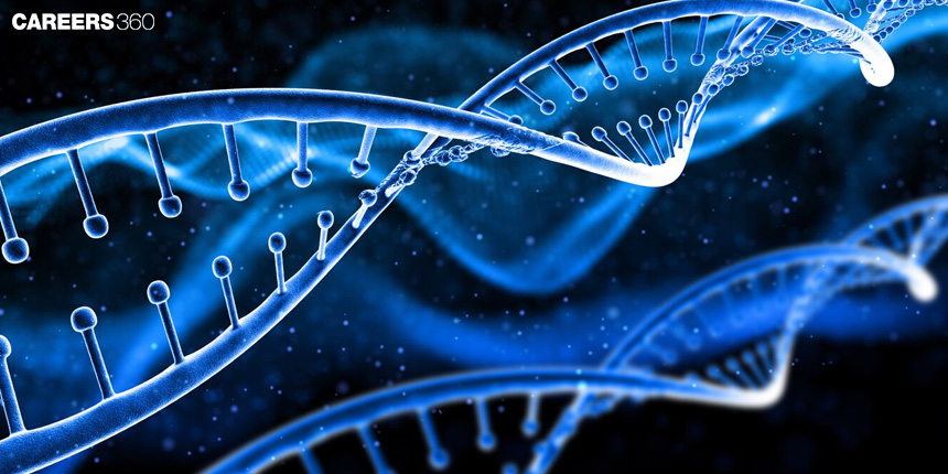 Difference Between DNA and RNA: What Is the Difference Between DNA and RNA?