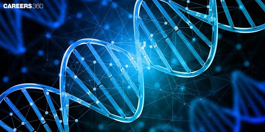 Difference between Gene and Chromosome: Overview, Explanation