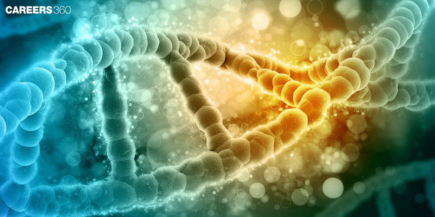 Difference Between Spontaneous and Induced Mutation