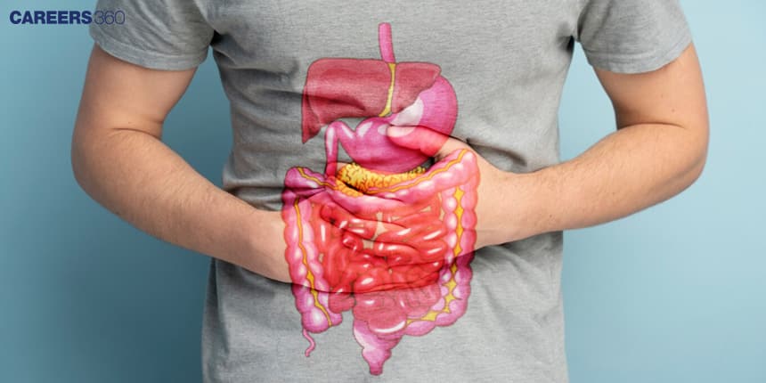 Disorder of the Digestive System: Definition and Examples