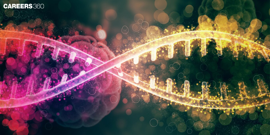 Enzymes used in DNA replication