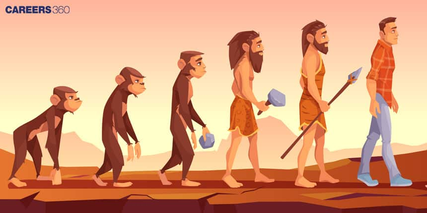 Evolution by Stages: Definition and Examples