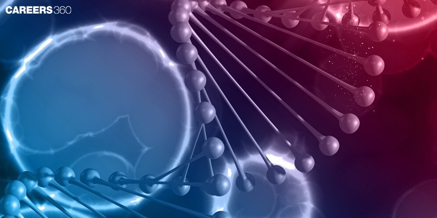 Gene to Protein - Transcription and Translation