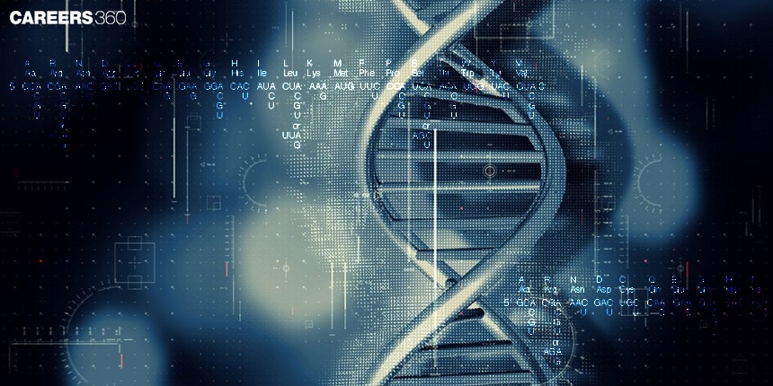 Genetic Code: Definition, Steps, Types and Examples