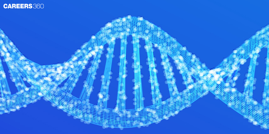 Genetic Drift: Definition, Types, Examples and Process