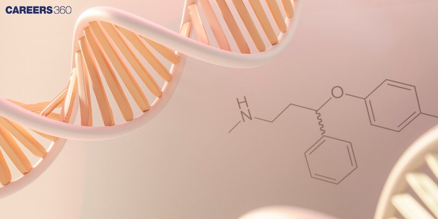 Genetic Material- DNA vs RNA: Definition & Function