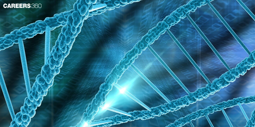 Human Genome Project: Definition, Steps and Examples