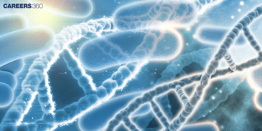 Lac Operon - Concept, Diagram, Notes, Gene Regulation