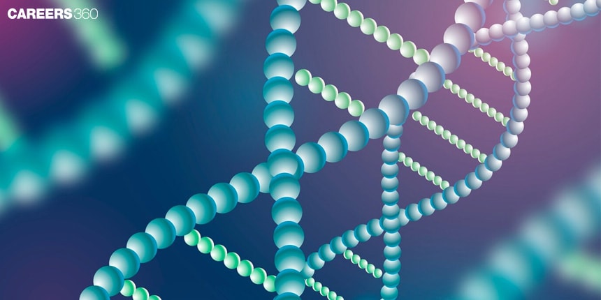 Linkage and Recombination: Definition, Differences, Diagram, Example