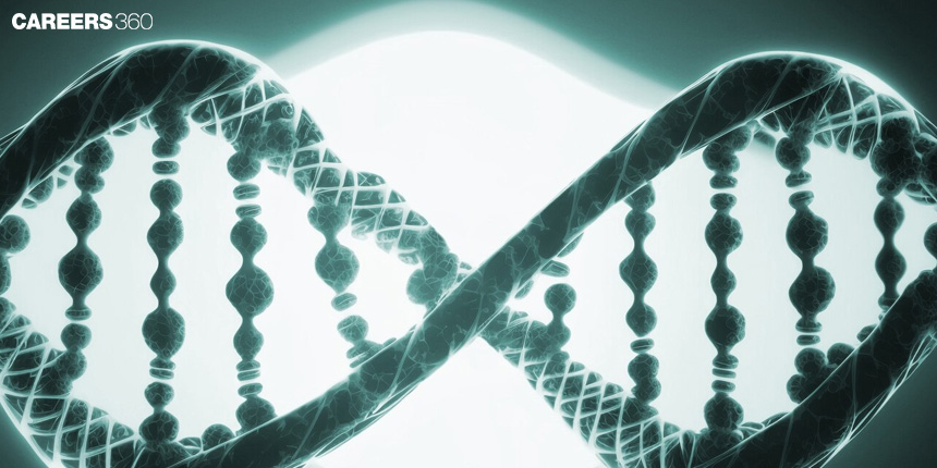 mendelian genetics: Definition, Overview, Synonyms, Examples, Process, Factors, Topics