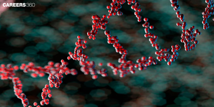 Molecular Basis Of Mutation: Mutation, Repair and Recombination