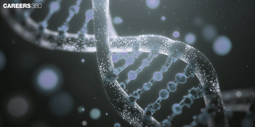 Nucleic Acid and Genetic Code: Definition, Characteristics, Table, Facts, Properties