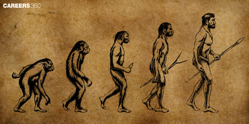 Origin and Evolution of Man: Theories and Fossil Evidences