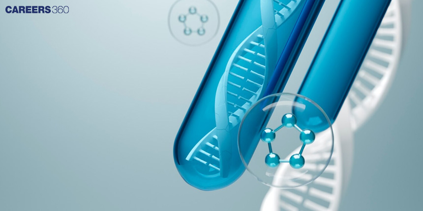 Process of Transcription: Know Stages, RNA Polymerase