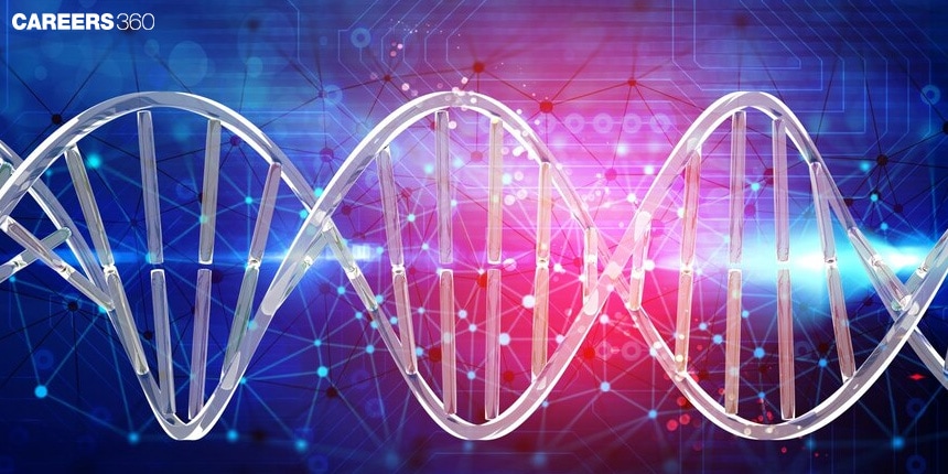 RNA Processing: Definition, Steps, Types and Examples