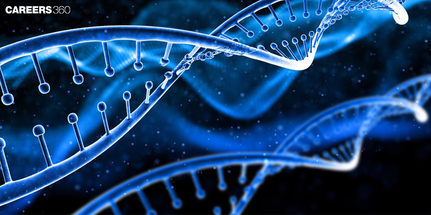 Replication of DNA: Know Process and Diagram