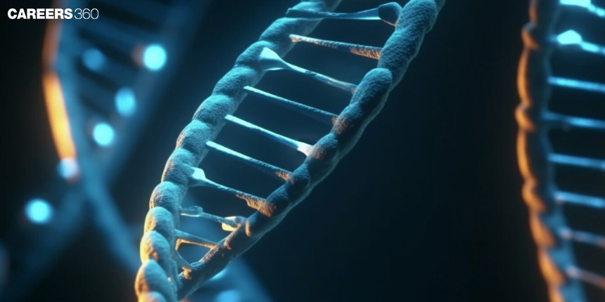 Salient Features of Double Helix Structure of DNA: Structure, Features