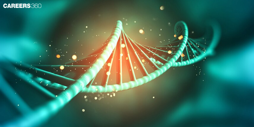 Structure of RNA: Know Functions and Types