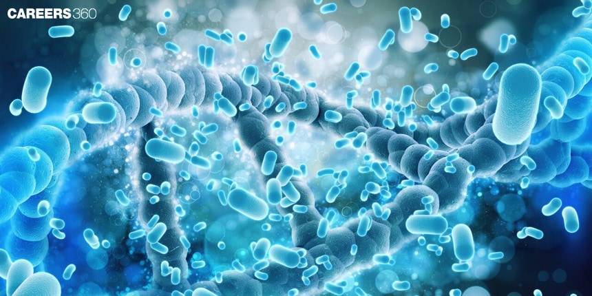 Transcription in Prokaryotes: Process, Steps, Diagram