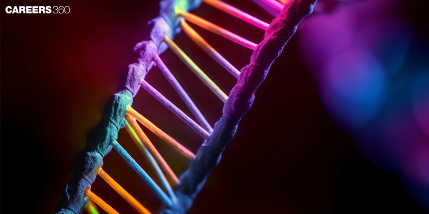 Types of DNA: Structure, Properties, Types and Functions