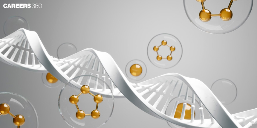 Types of RNA and the Process of Transcription