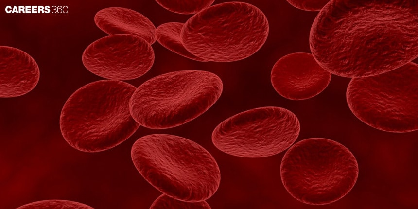 Components of Blood and their Functions