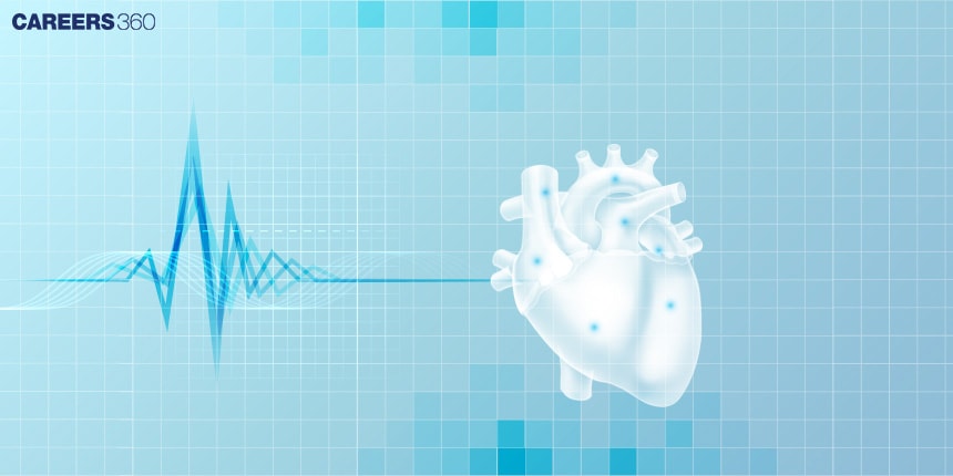 Heart Rate: Definition, Bradycardia, Tachycardia