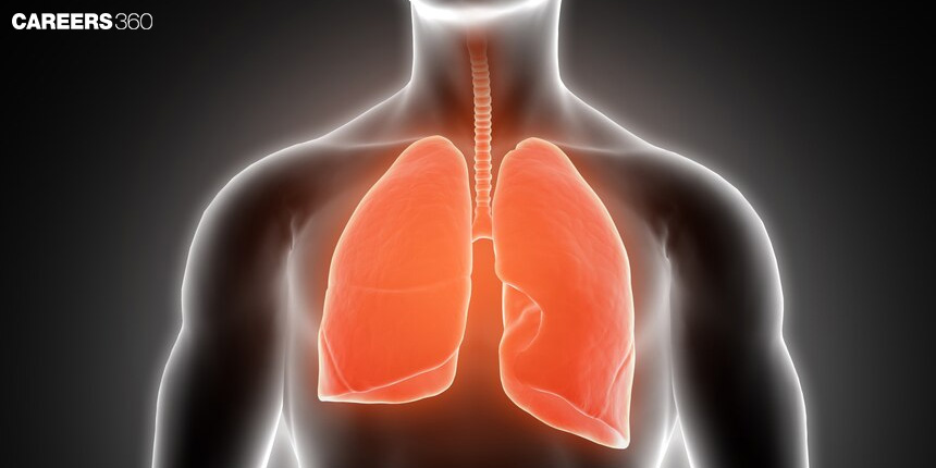 Lung Diseases: Symptoms, Function, Classifications, Treatment