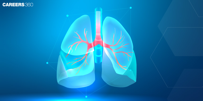 Oxygen Dissociation Curve: Definition, Function And Examples