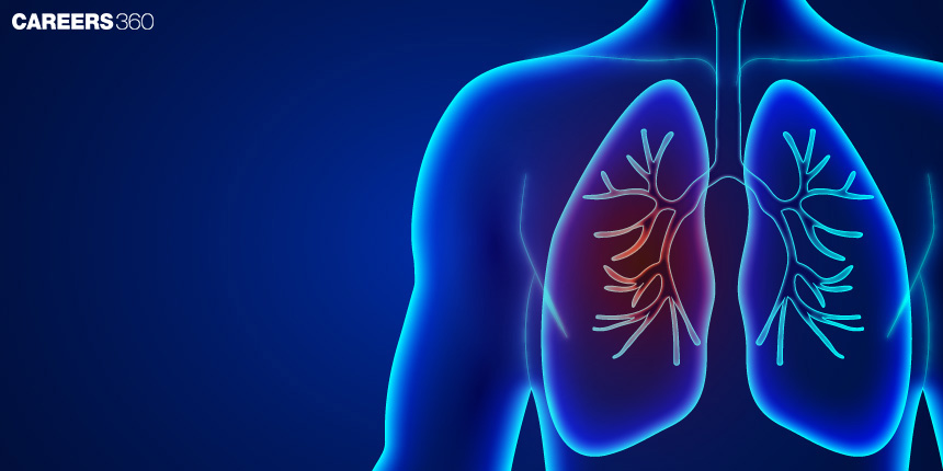 Respiratory System: Definition, Organs and Functions