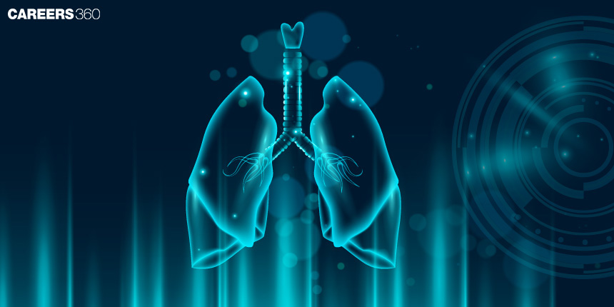 Respiration: Definition, Types, Diagram and Examples