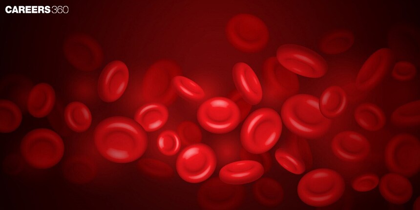 Blood: Type, Definition,Composition, Functions, Components