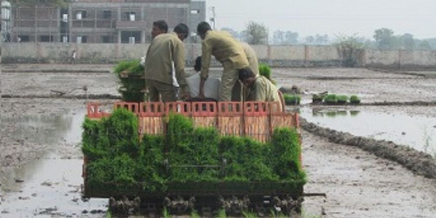 Organic farming, MBA: Modern agri courses at new agricultural universities despite staff, land shortage