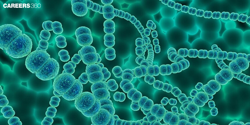 Archaebacteria - Definition, Characteristics, Types, Examples, Importance