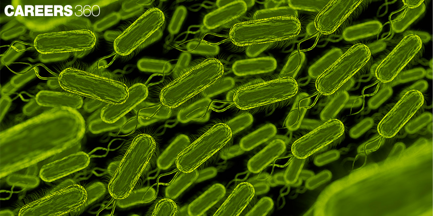 Prokaryotic Cells