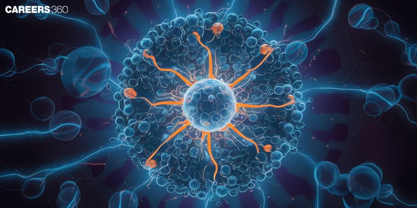 Centrosome: Overview, Structure, Functions, Diagram