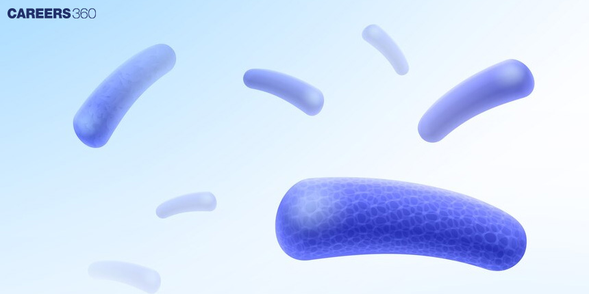 Difference Between Archaea and Bacteria: Overview, Similarities & Differences