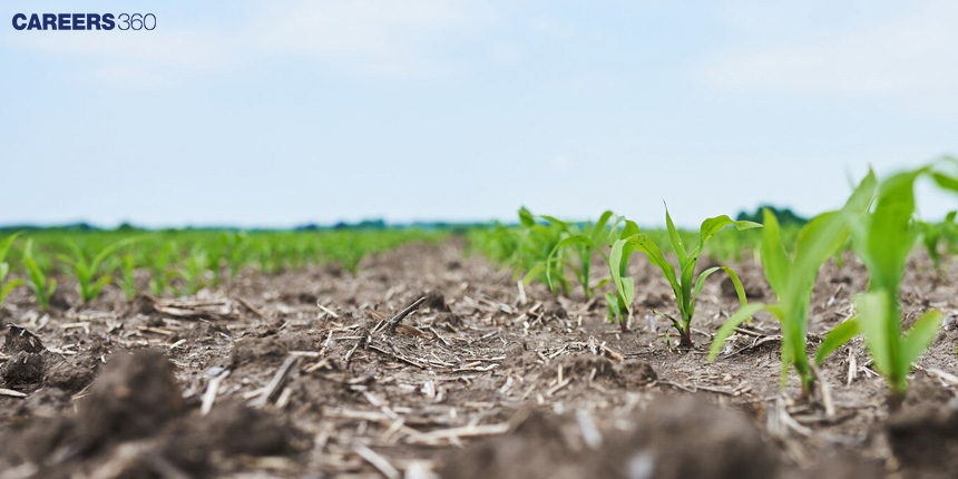 Nutrient Cycle: Definition, Examples, Importance, Types, FAQs