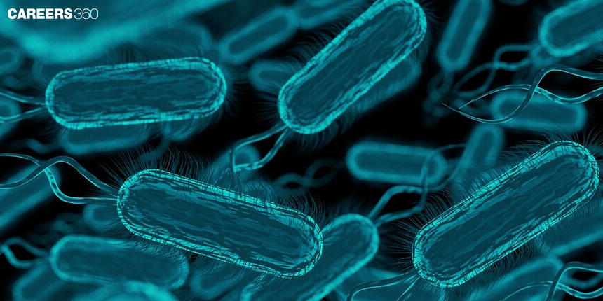 Structures in Bacteria: Definition, Diagram, Classification, Microbes, Cells