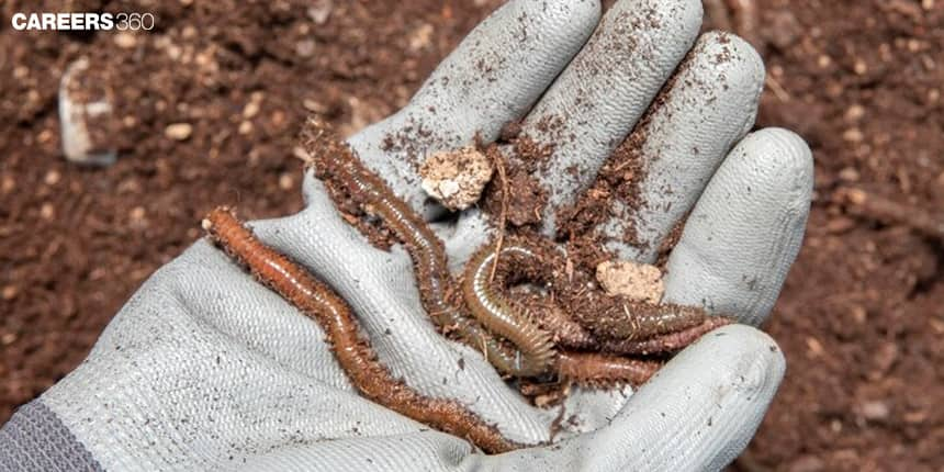 Vermicomposting: Definition, Meaning, Methods, Benefits