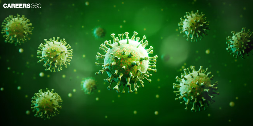 History of Virus: Overview, Classification, Discover