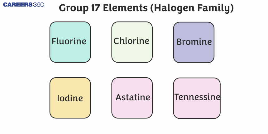 Group 17 Elements (Halogen Family): Configuration, Properties and Uses