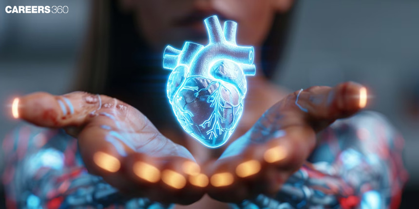 Coronary Circulation: Definition, Process, Diagram, Flow Chart