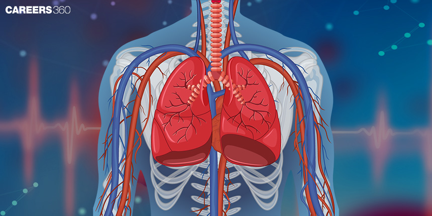 Difference between Single and Double Circulation