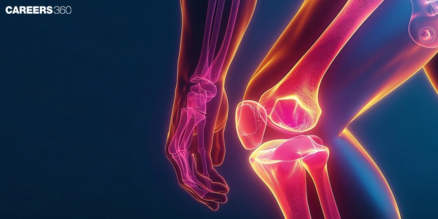 Fibrous Joints: Definition, Meaning, Examples, Types, Diagram, Classification